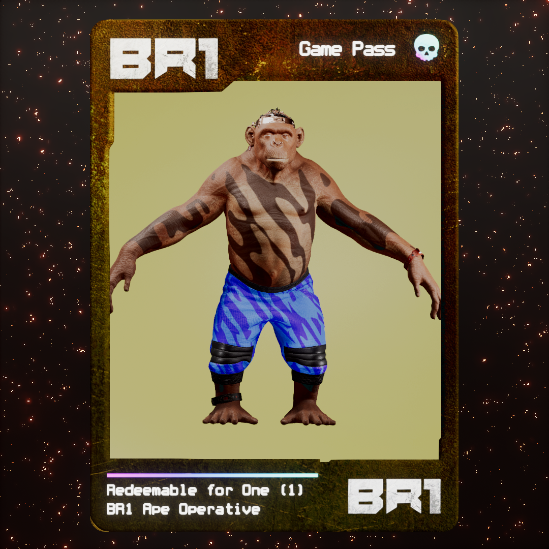 BR1 Character #0035