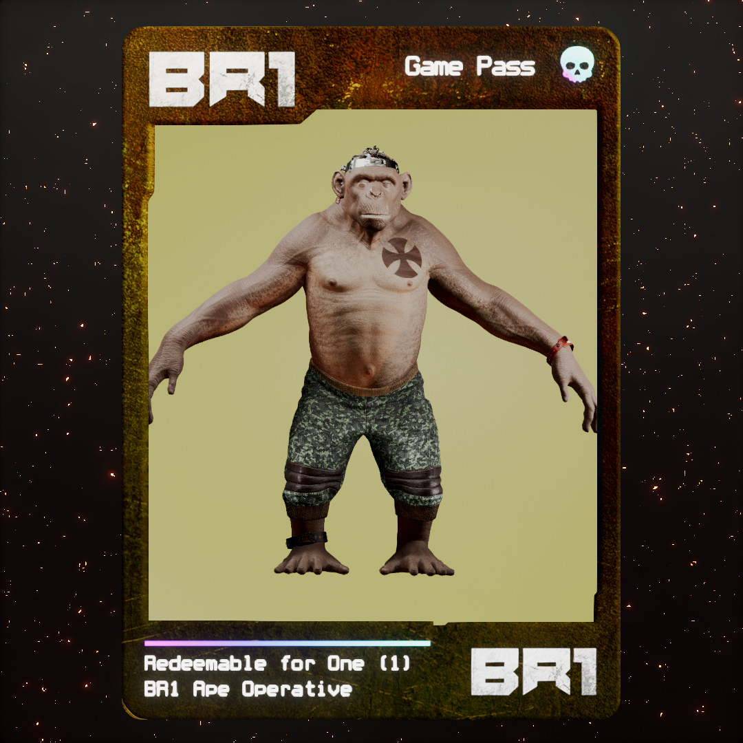 BR1 Character #1071
