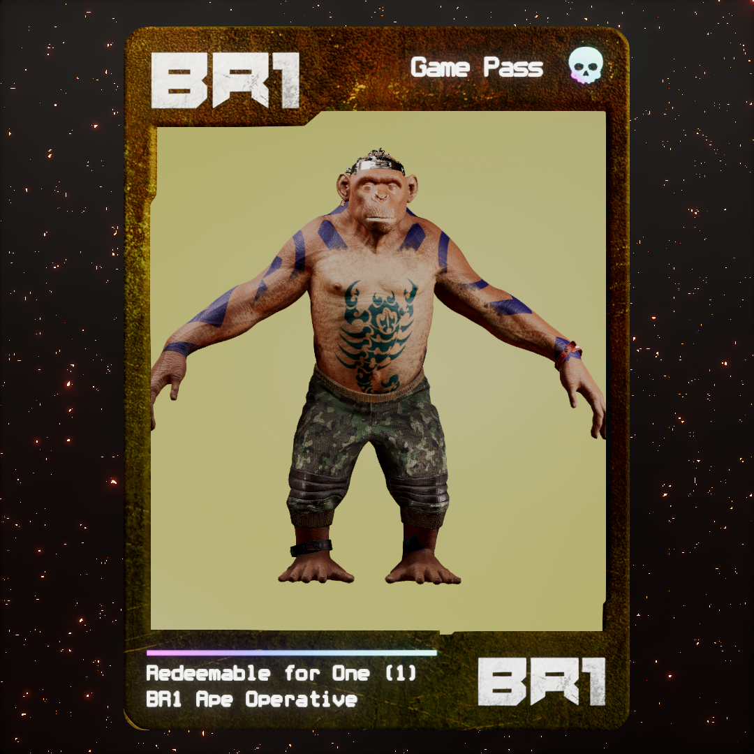 BR1 Character #1135