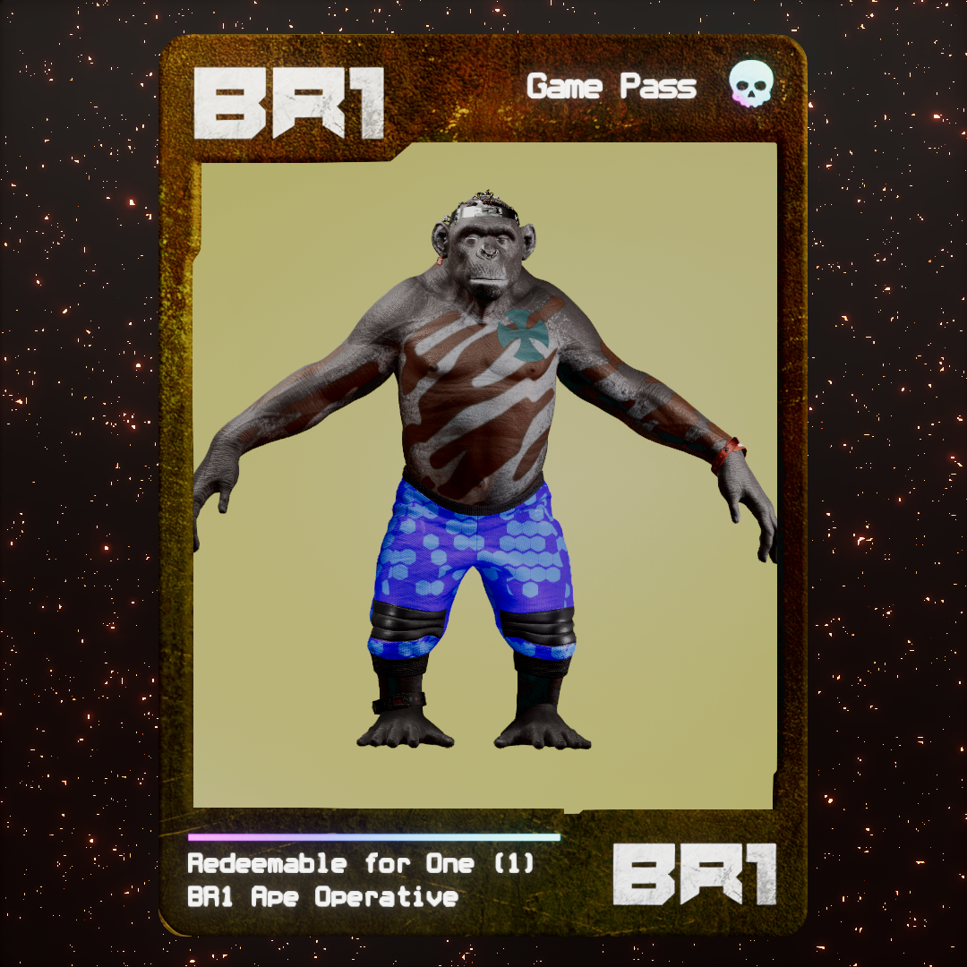 BR1 Character #1137