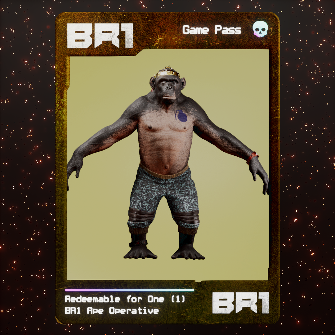 BR1 Character #1138