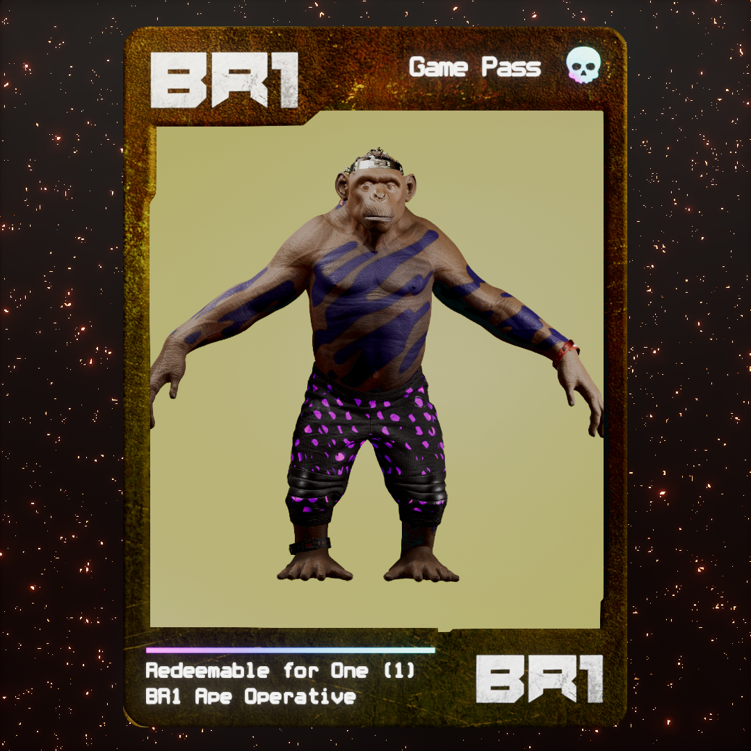 BR1 Character #1187