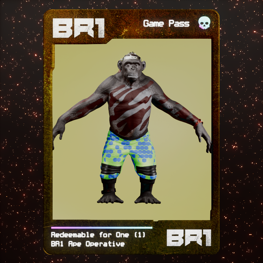 BR1 Character #0134