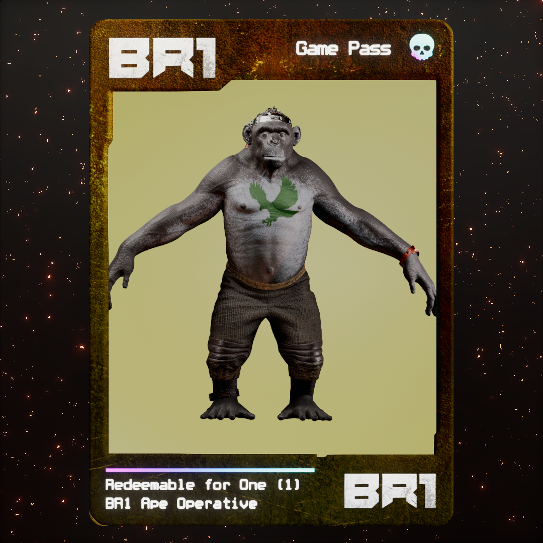 BR1 Character #1458