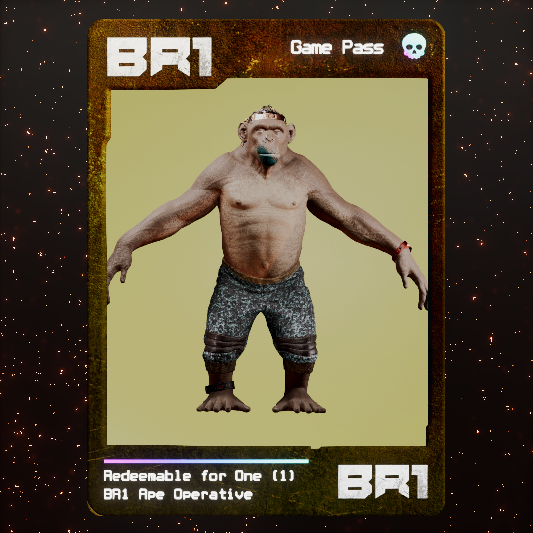 BR1 Character #1498