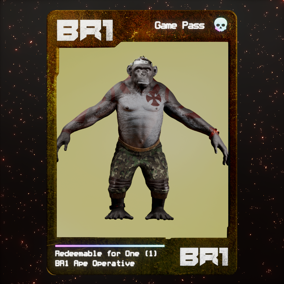 BR1 Character #1579