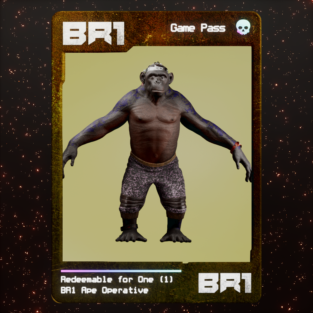 BR1 Character #1613