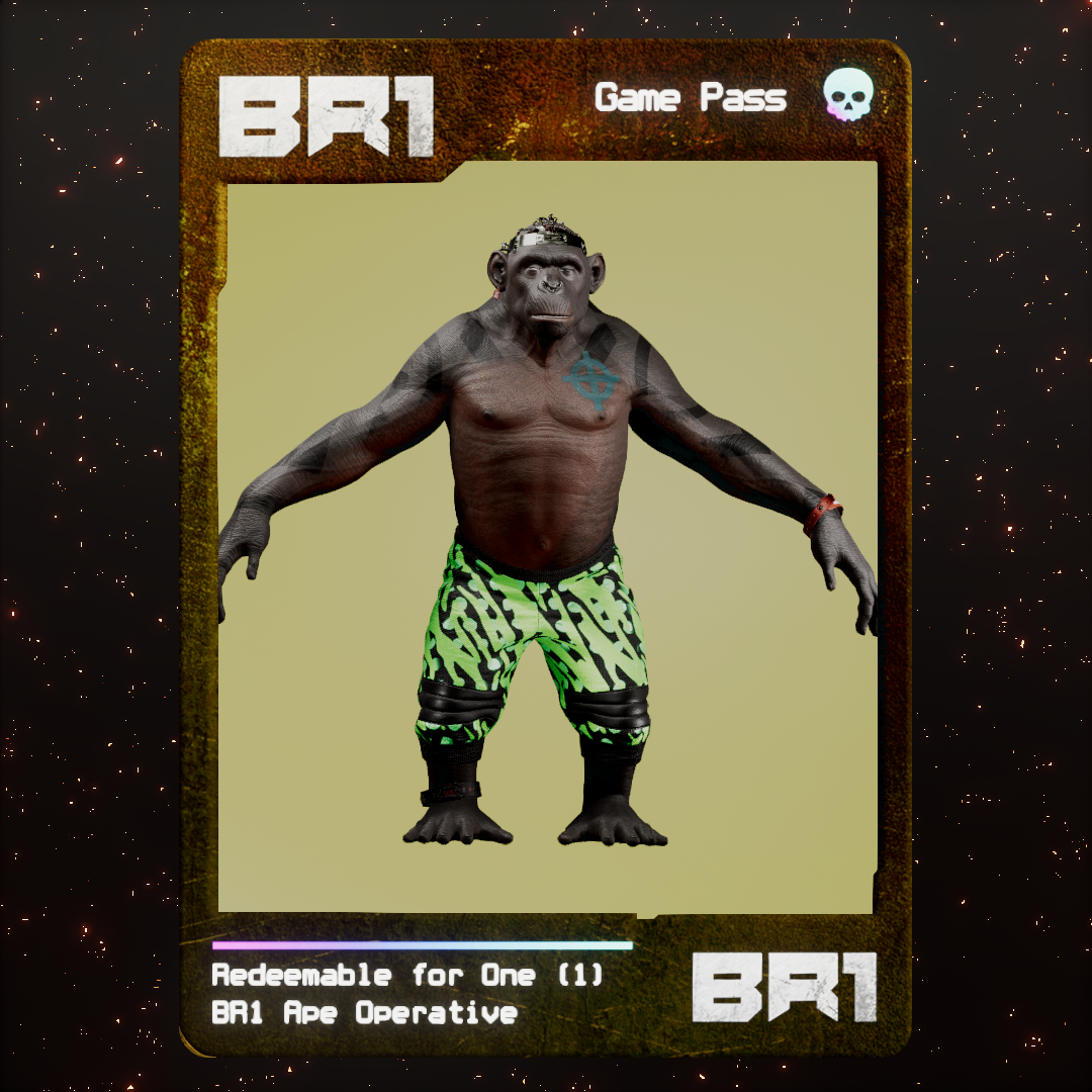 BR1 Character #1650