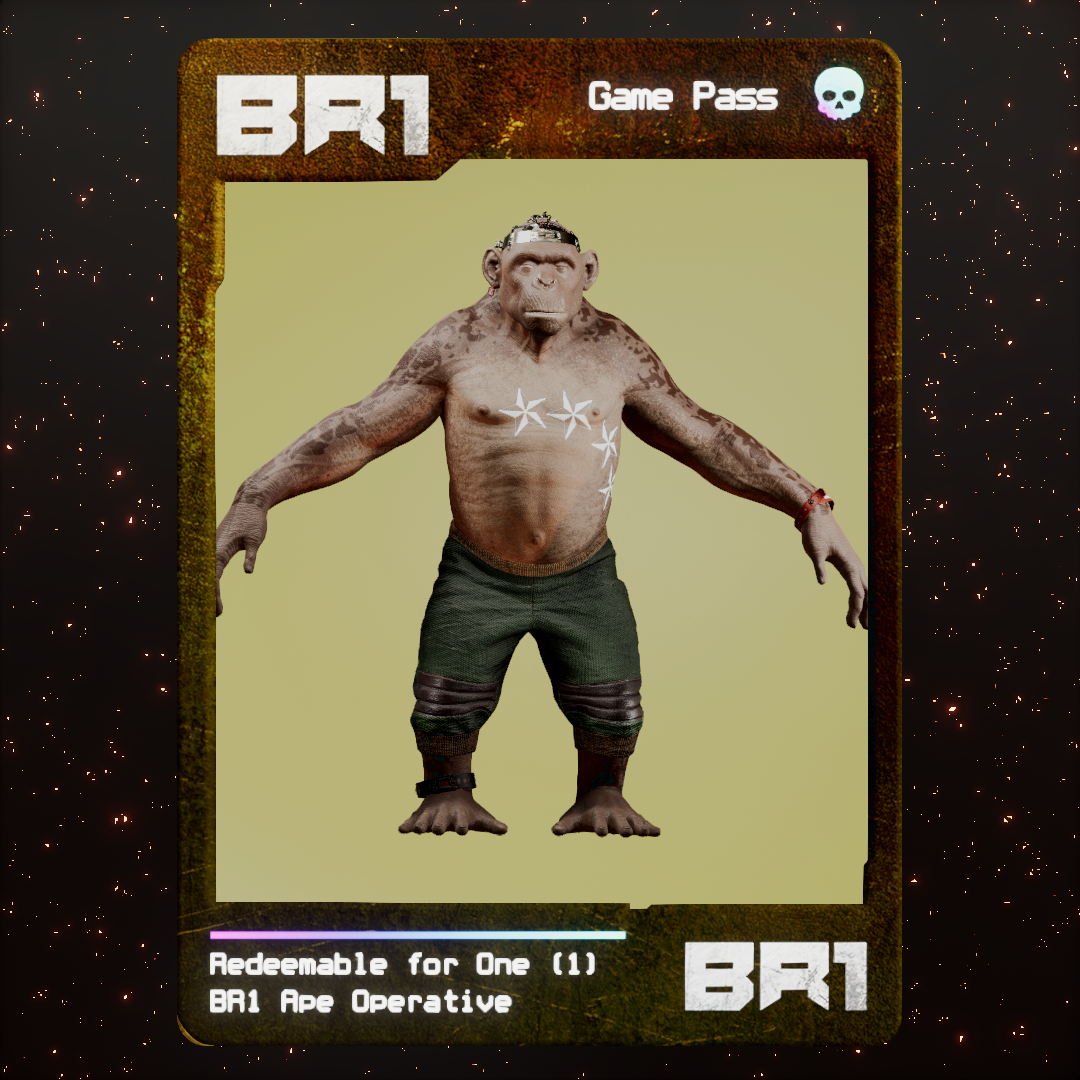 BR1 Character #1660