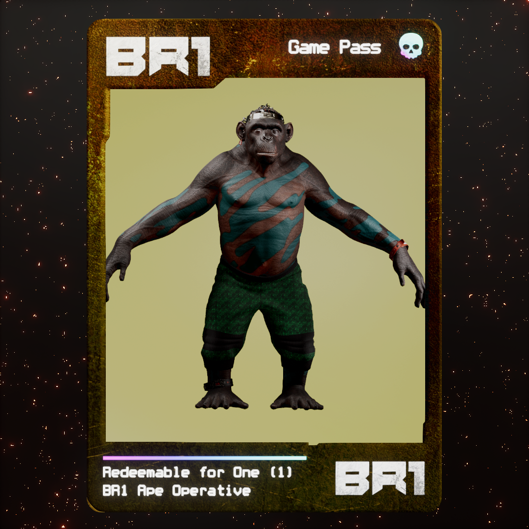 BR1 Character #1684