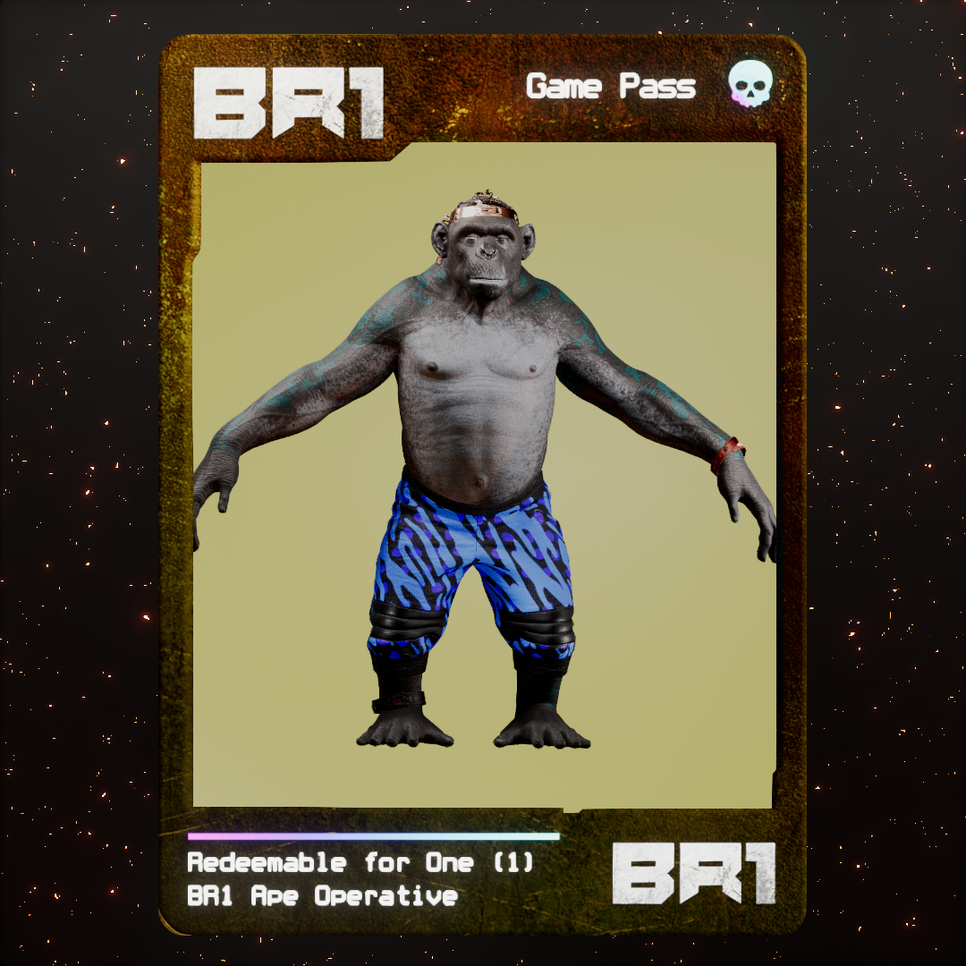BR1 Character #1739