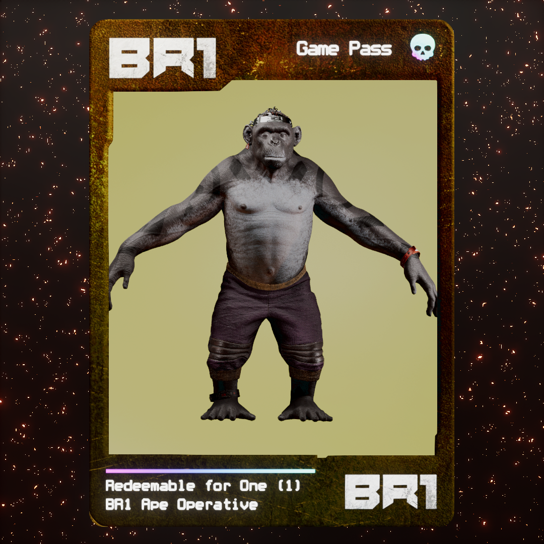 BR1 Character #1979