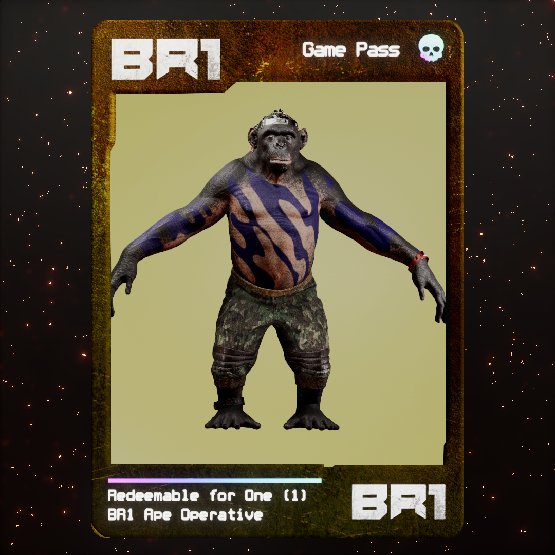 BR1 Character #1991