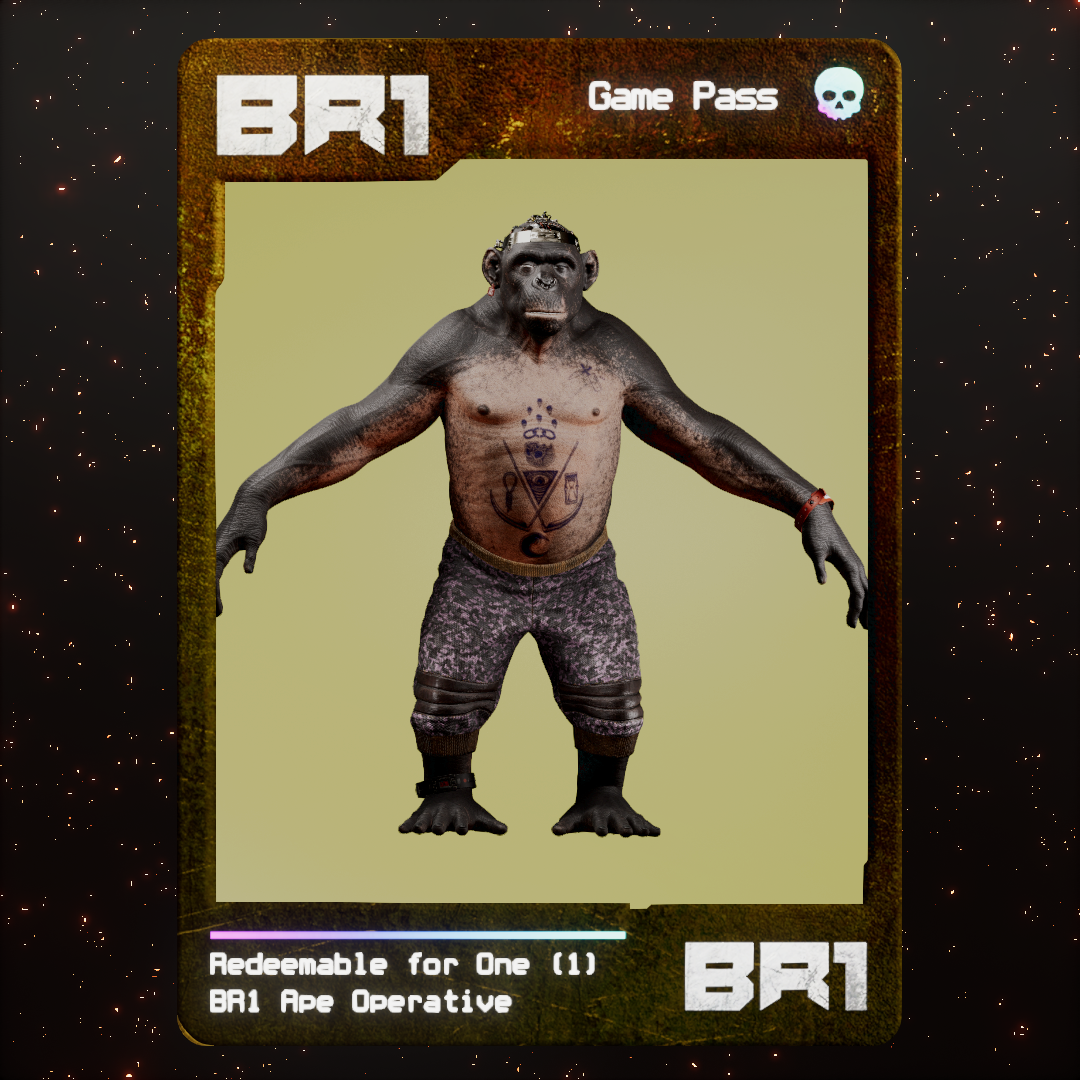 BR1 Character #2086