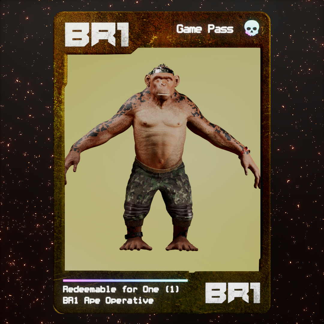 BR1 Character #2110