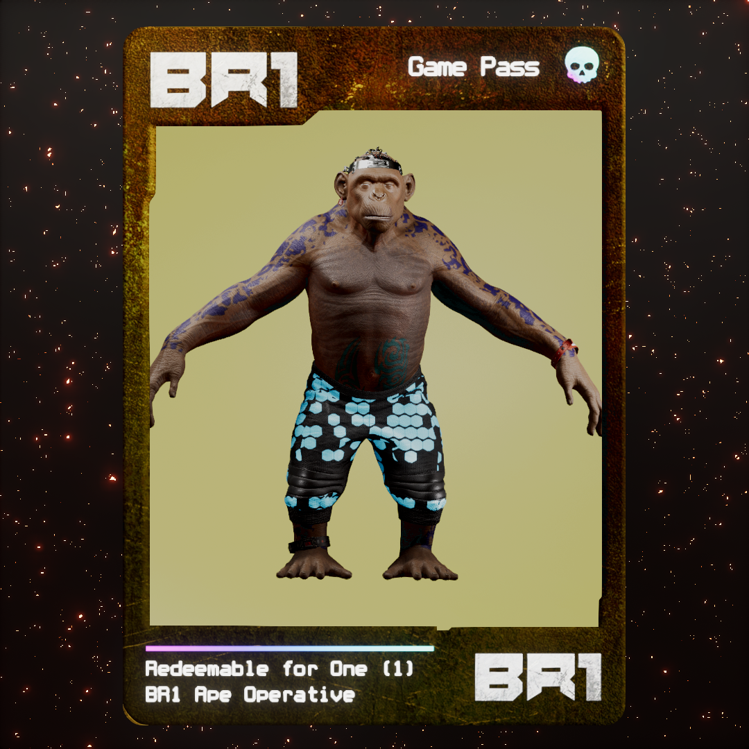 BR1 Character #2134