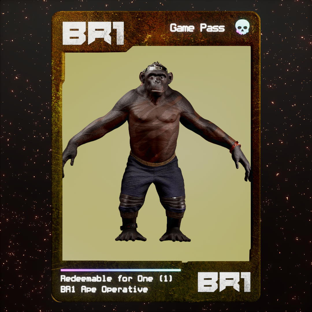 BR1 Character #0217