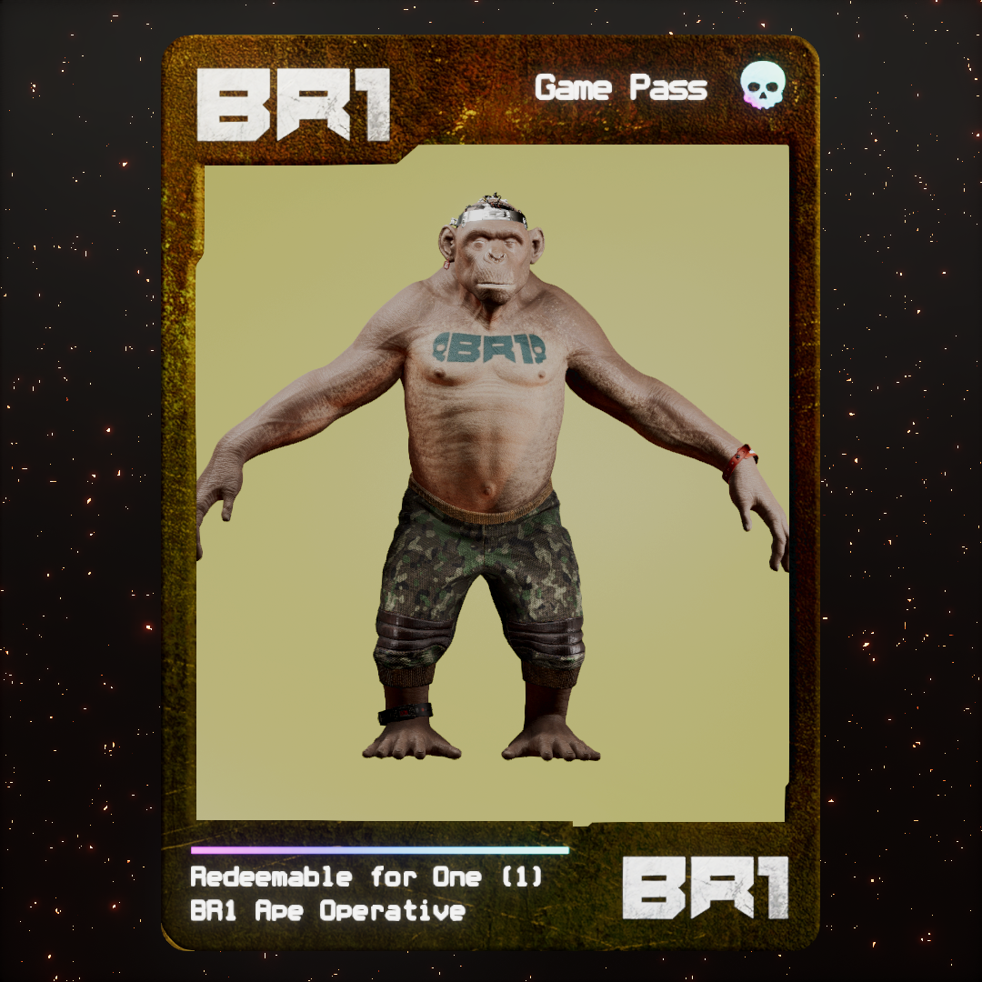 BR1 Character #2201