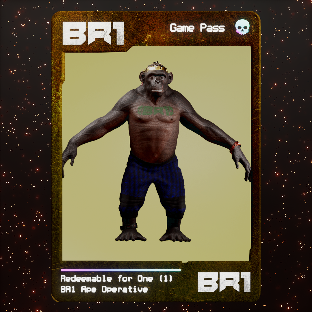 BR1 Character #2274