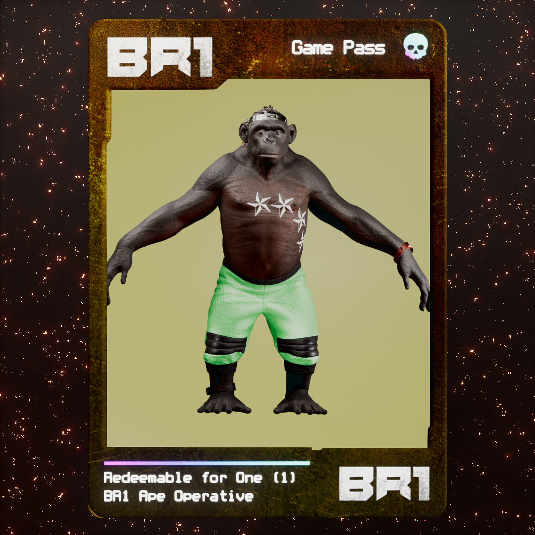 BR1 Character #2478
