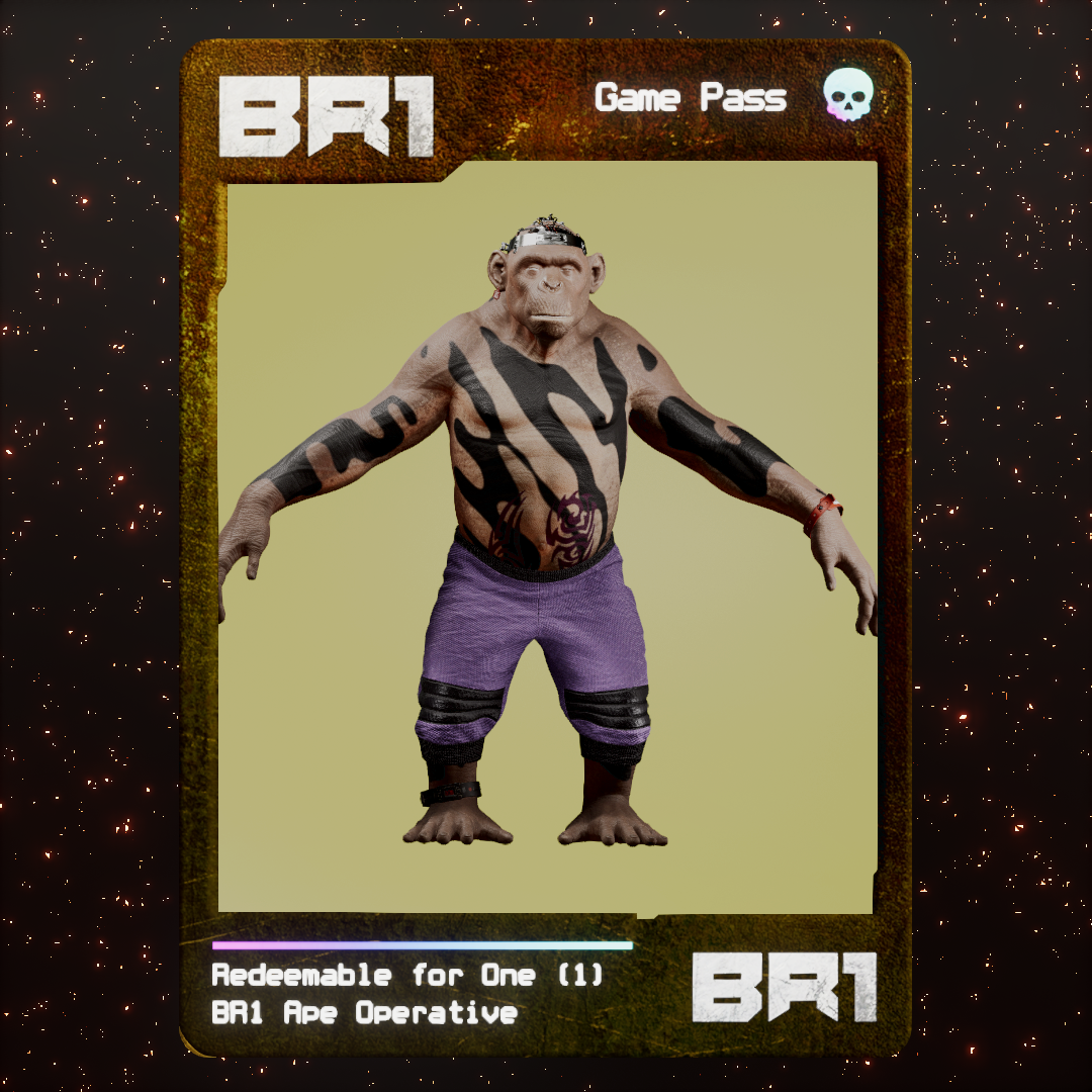 BR1 Character #0248