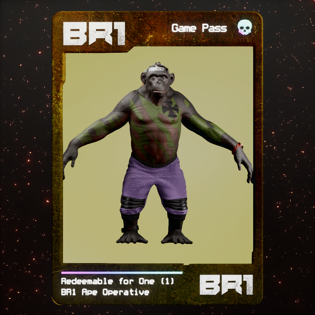 BR1 Character #0301