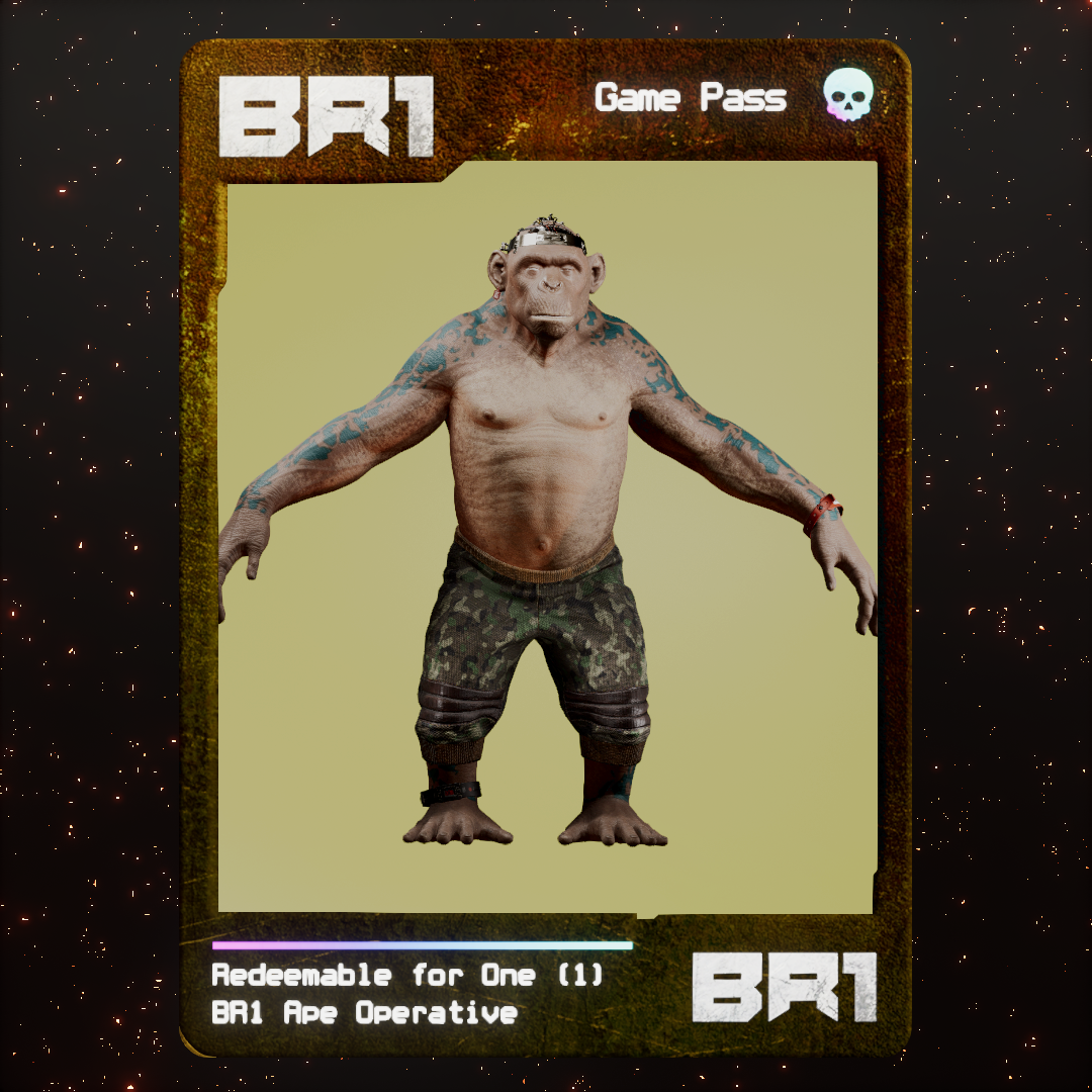 BR1 Character #0475