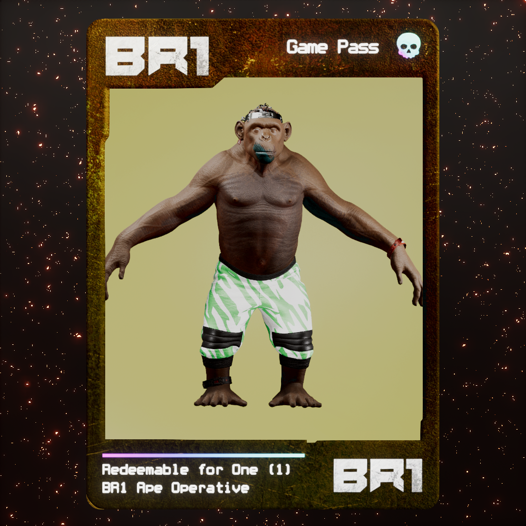 BR1 Character #0587