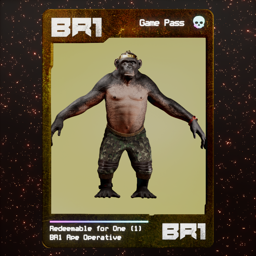 BR1 Character #0765
