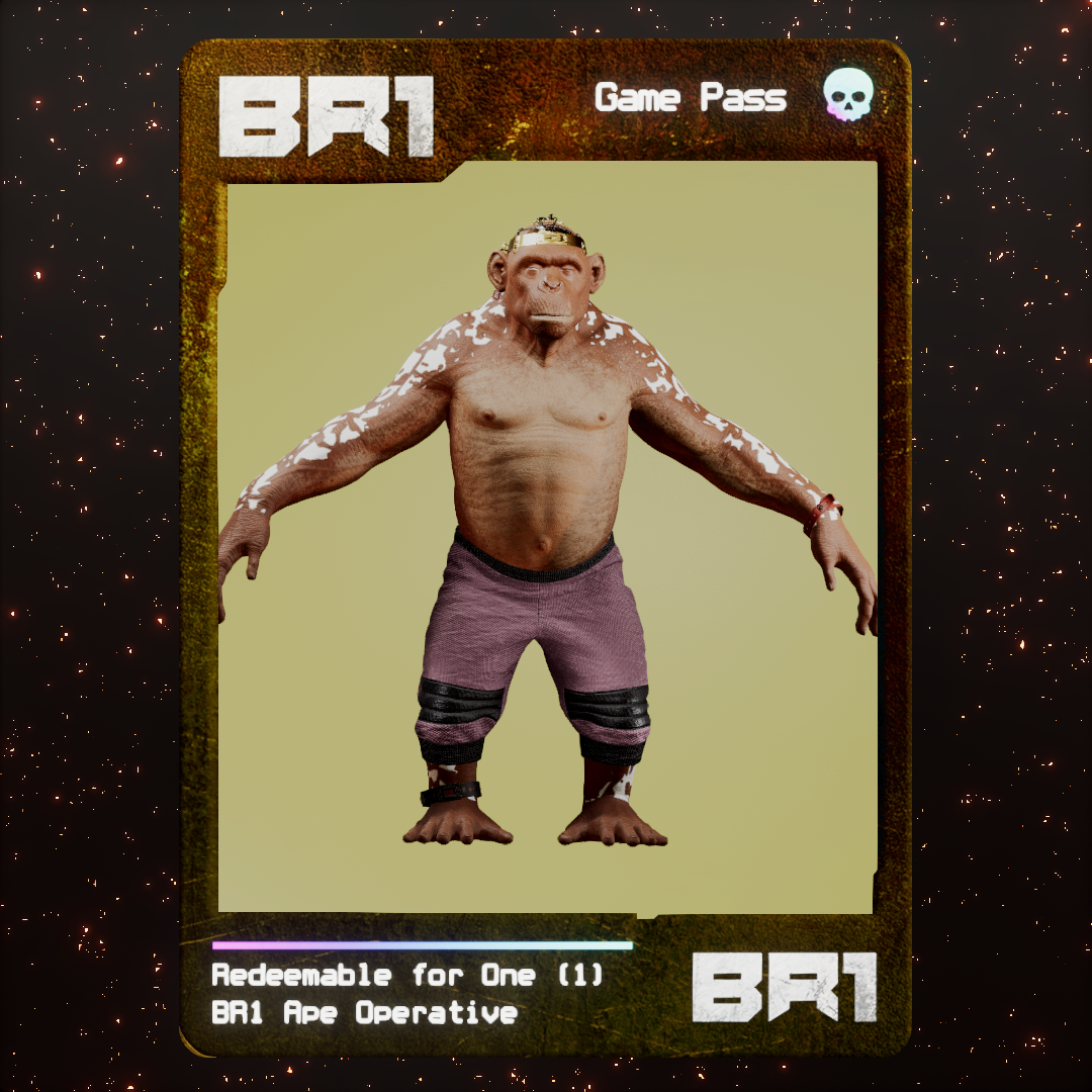 BR1 Character #0790
