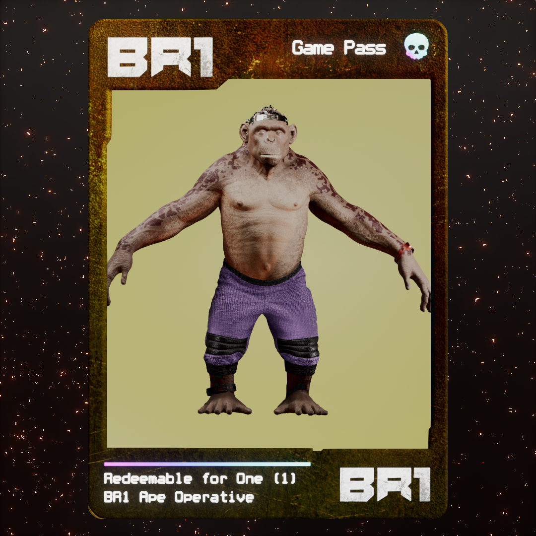 BR1 Character #0803