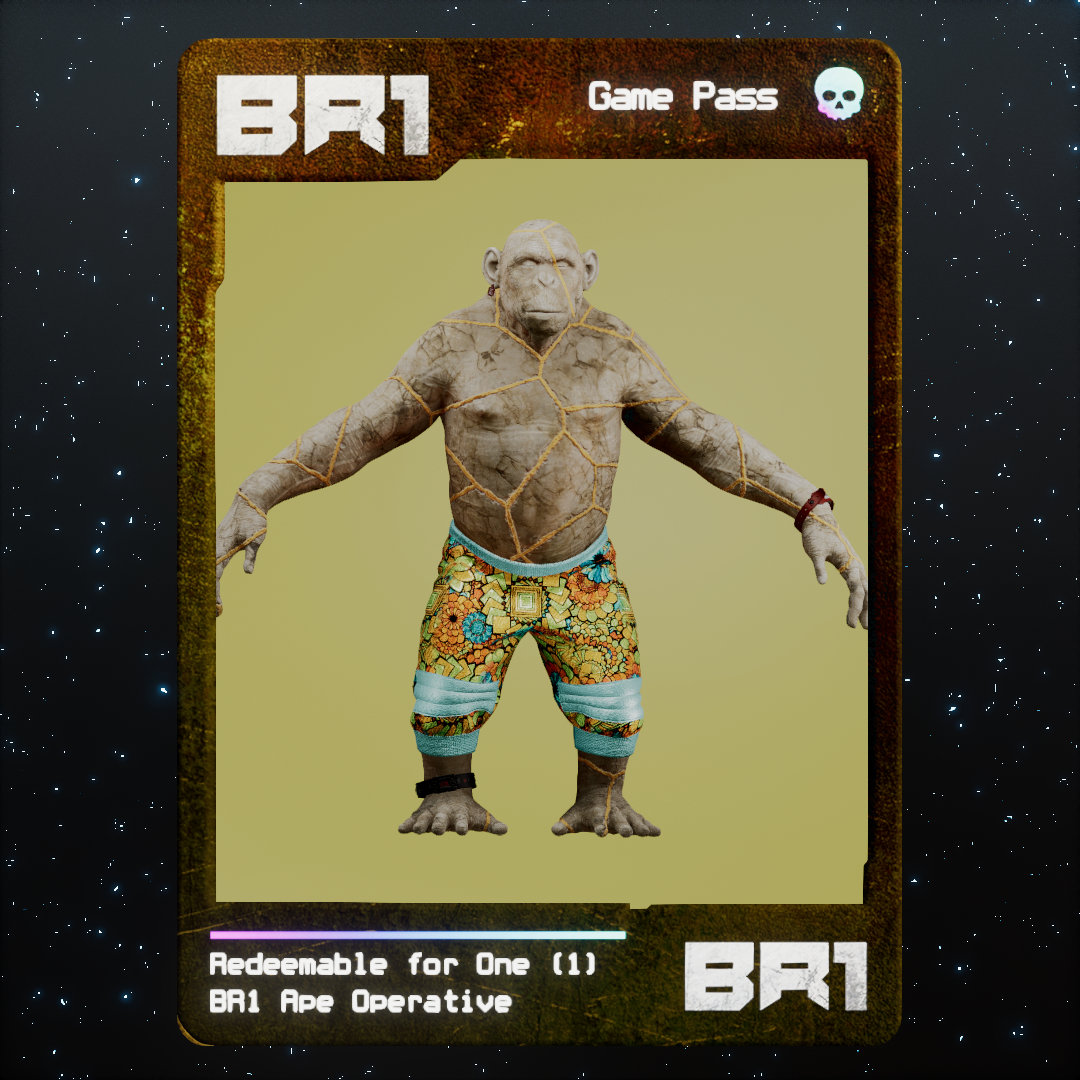 BR1 Character #0128