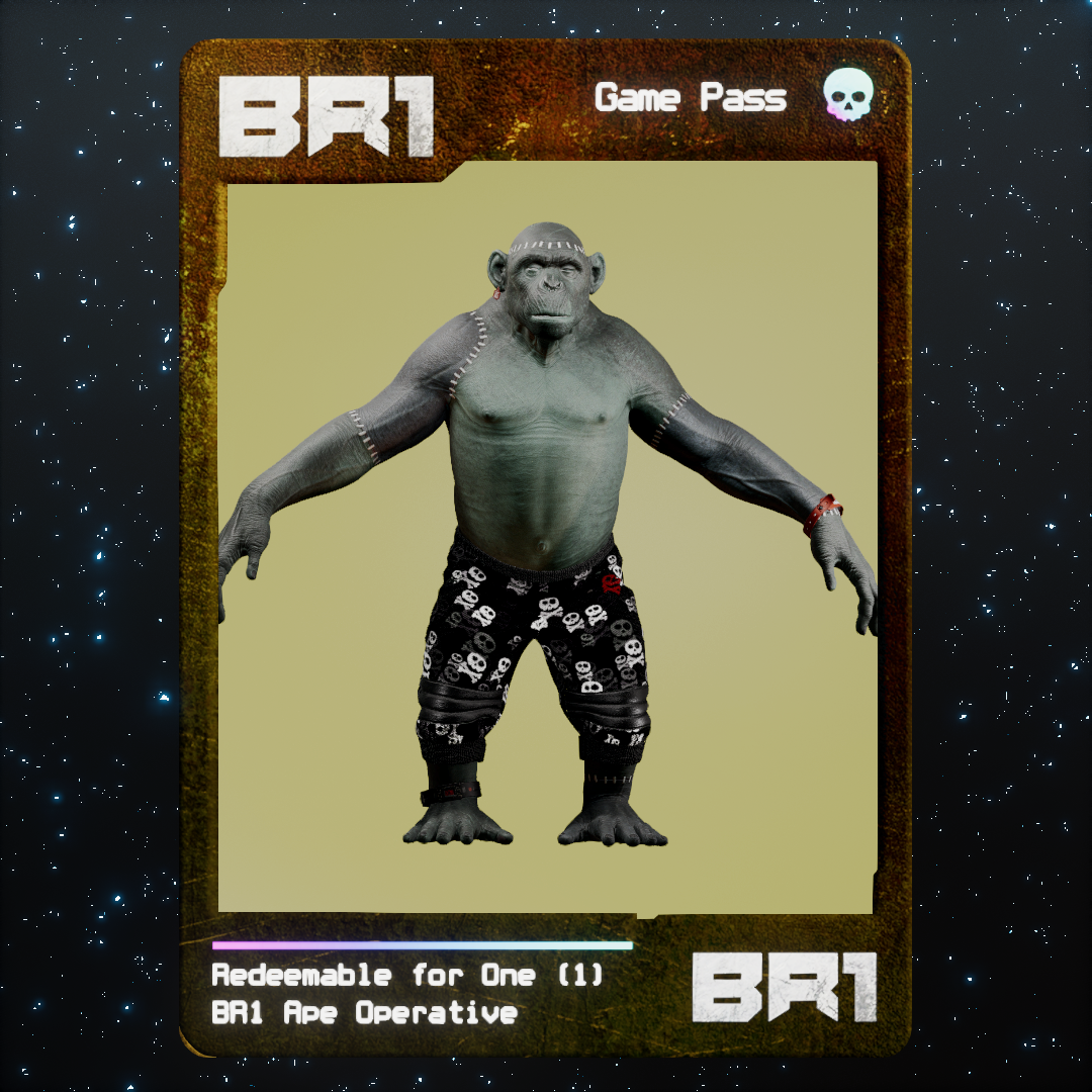 BR1 Character #2070
