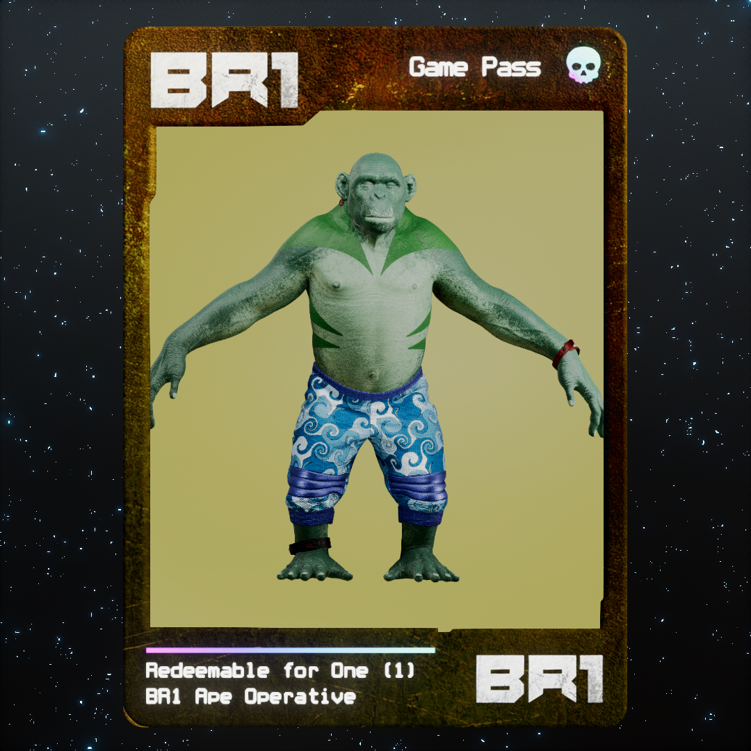 BR1 Character #0849