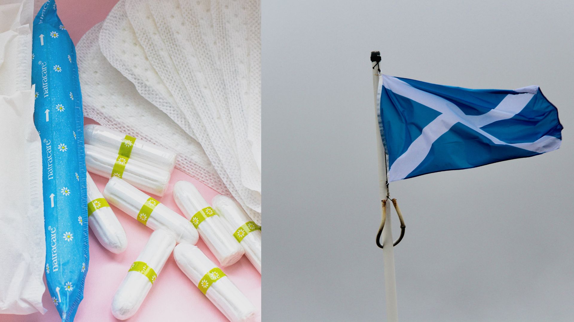 Free Period Products For All In Scotland To End Period Poverty 