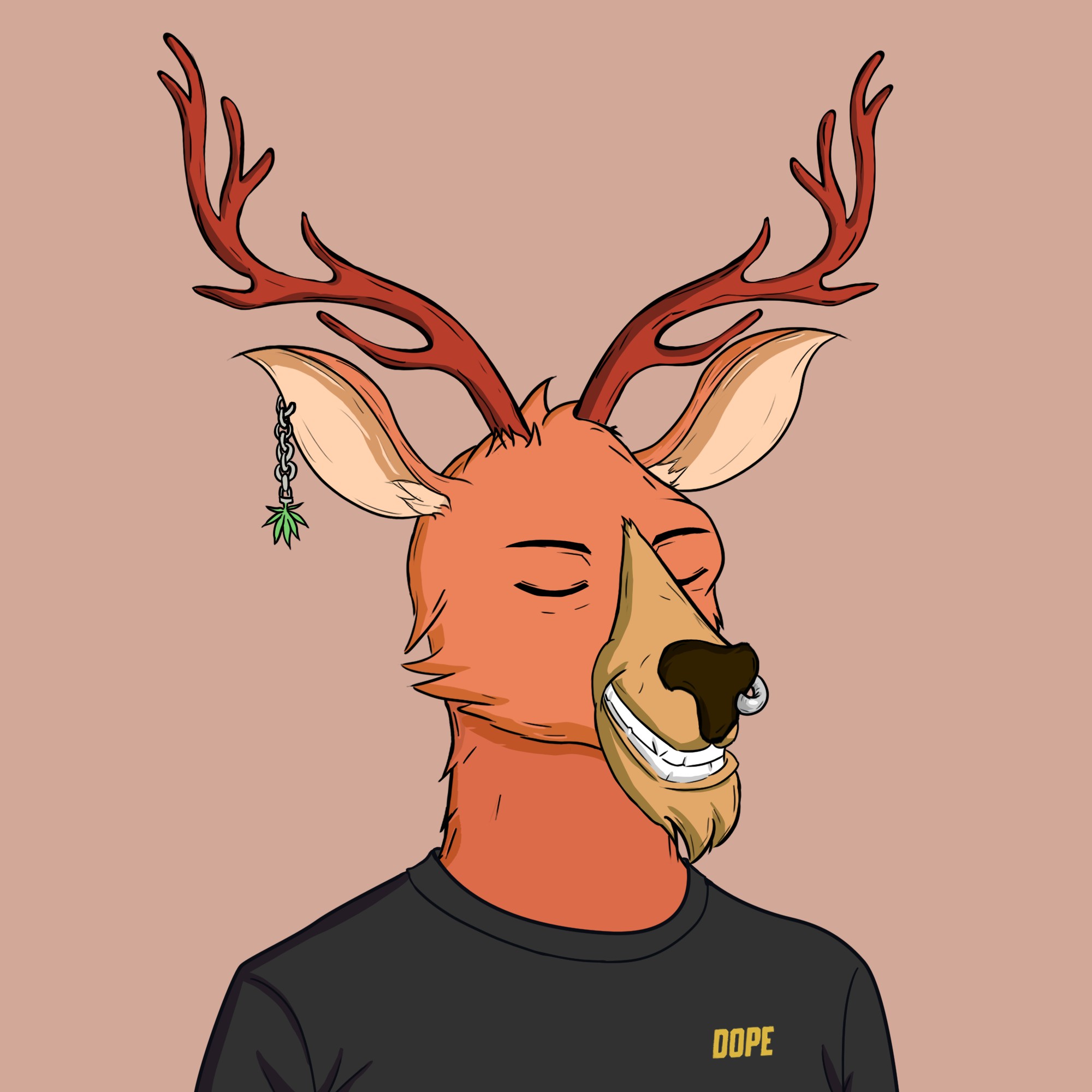 Deer #2893